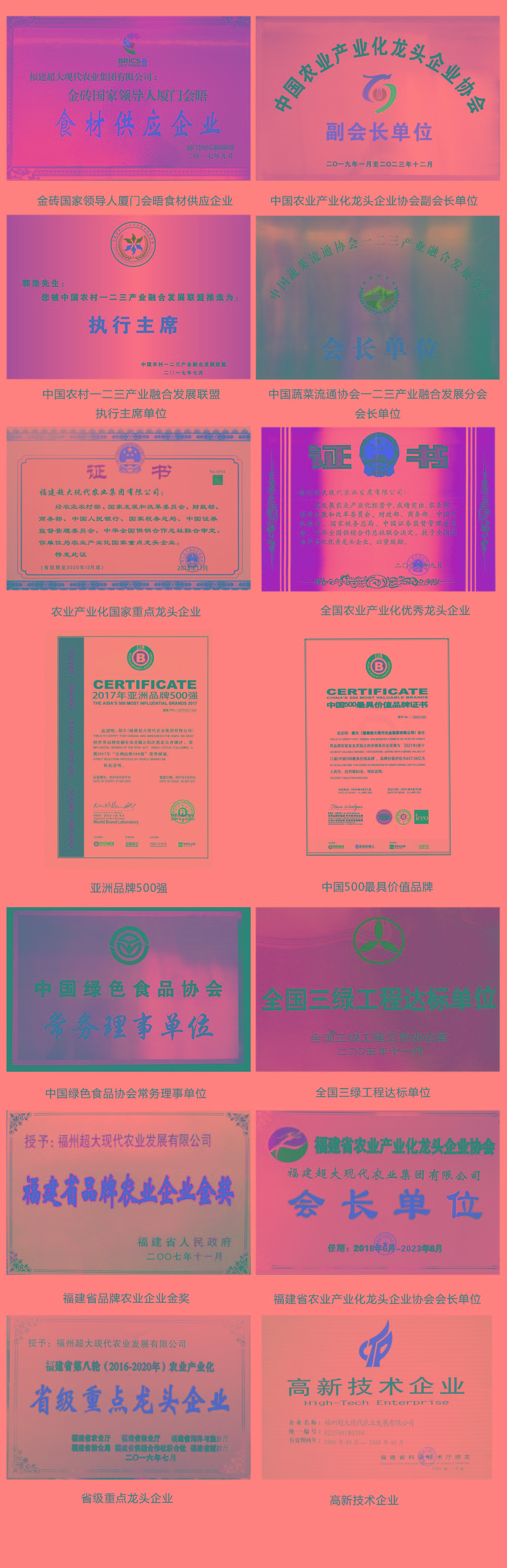 超大 超大現(xiàn)代農(nóng)業(yè) 超大現(xiàn)代農(nóng)業(yè)集團(tuán) 超大 超大現(xiàn)代農(nóng)業(yè) 超大現(xiàn)代農(nóng)業(yè)集團(tuán)